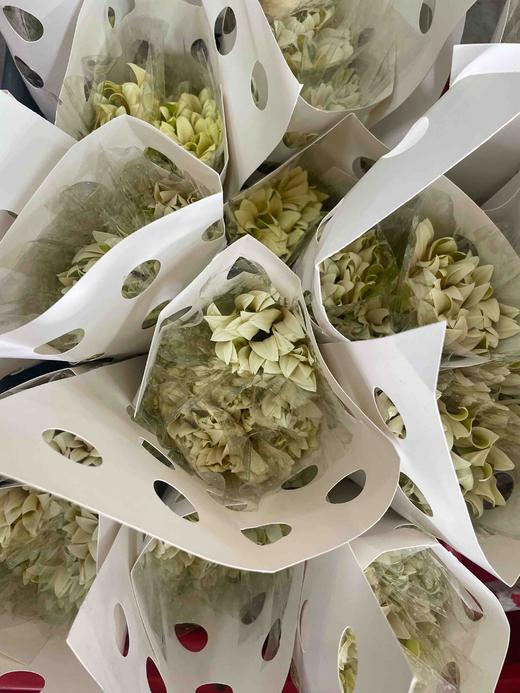 【空气卷边】弗朗/非洲菊- 香格里拉 约10枝/扎 商品图7