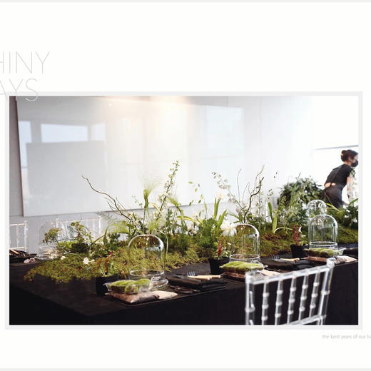 苔藓微景观沙龙 商品图1