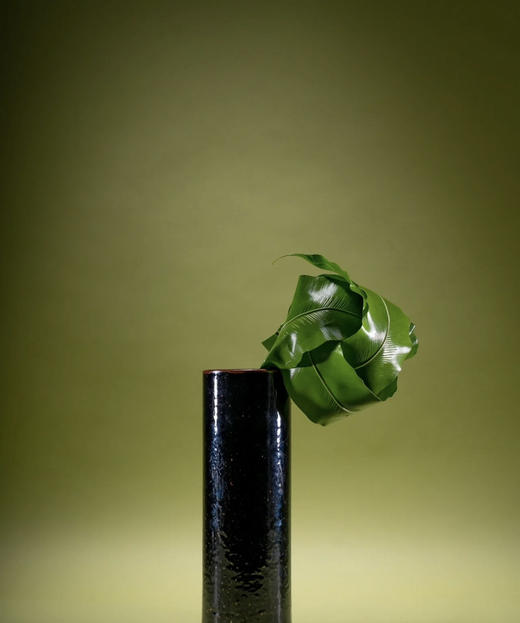 山苏叶【鸟巢叶】 约10片/扎 商品图3