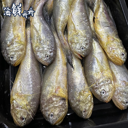 【野生】超低温东海梅童鱼 商品图3