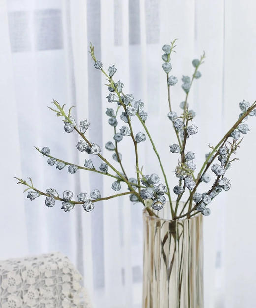 尤加利果，【可做干花】扎 商品图3