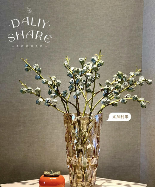 尤加利果，【可做干花】扎 商品图0