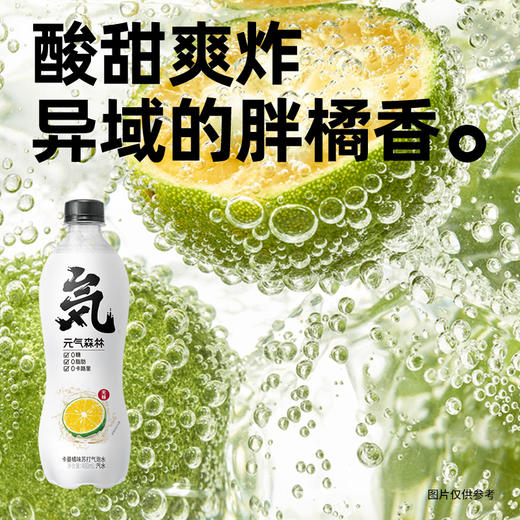 元气森林气泡水卡曼橘480ml 商品图1