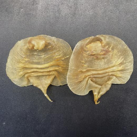 【赤嘴鳘鱼胶】挑时手工鱼胶/花胶 公胶脆爽 母胶软糯 商品图3