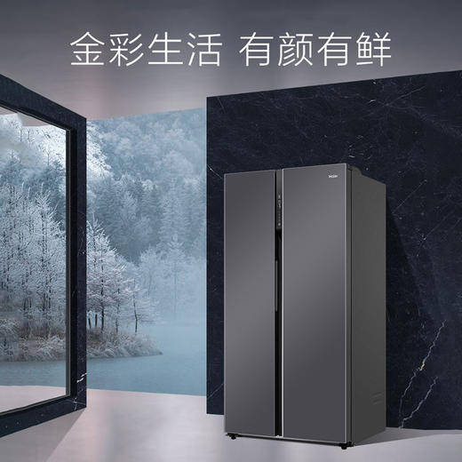 海尔542L对开门冰箱风冷无霜家用家电大容量官方旗舰店BCD-542WGHSSD5SU 商品图3
