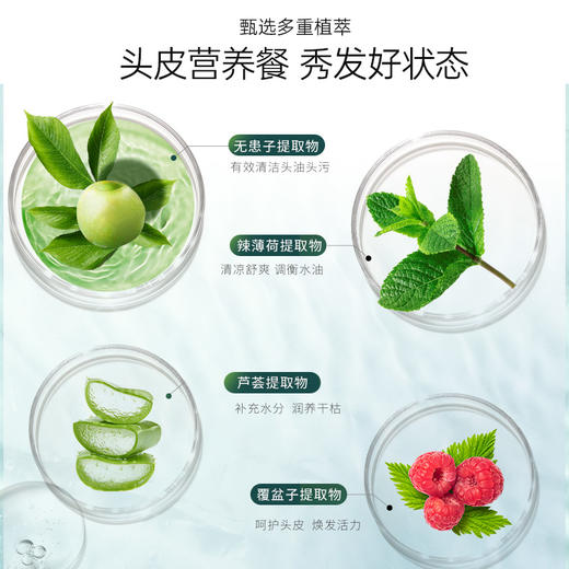 滋源控油清爽无患子洗发水(油性)265ml 商品图1