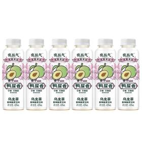 有丛气鸭屎香青梅茶饮料420g | 樱木良品