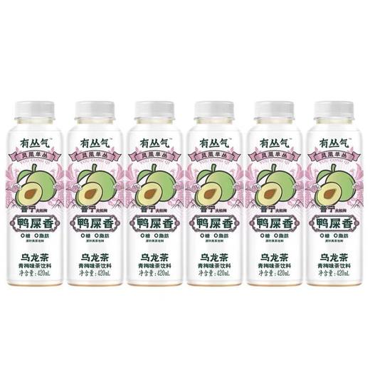 有丛气鸭屎香青梅茶饮料420g | 樱木良品 商品图0