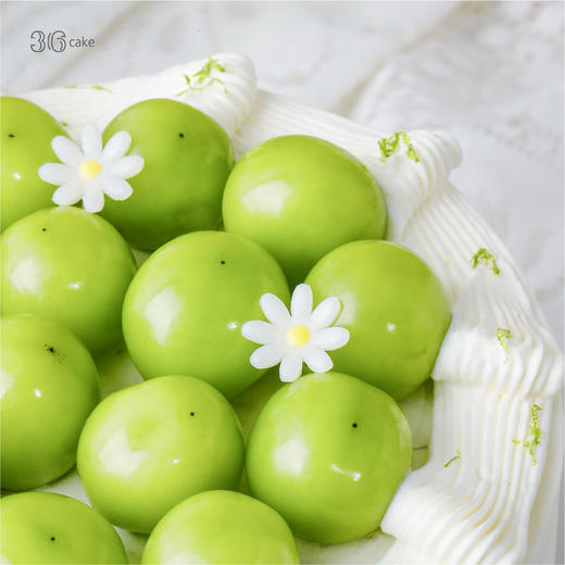 多肉阳光青提蛋糕，可选1.5/2.5磅 商品图3