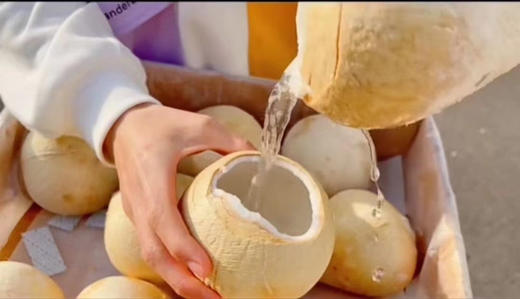 周五配送，泰国🇹🇭奶香椰皇，椰子中的爱马仕 商品图1