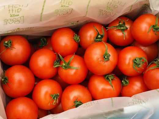 日本中玉品种温室有机番茄  |  自然成熟采摘，一颗颗均匀剔透的红，精巧可爱的扁圆，皮极其薄，用水洗洗就会裂开，吃起来绵绵糯糯的，果汁很浓很足！ 商品图11