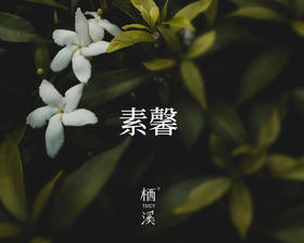 素馨——香溢巷陌二千年，曾经市花是素馨|植物小课堂030