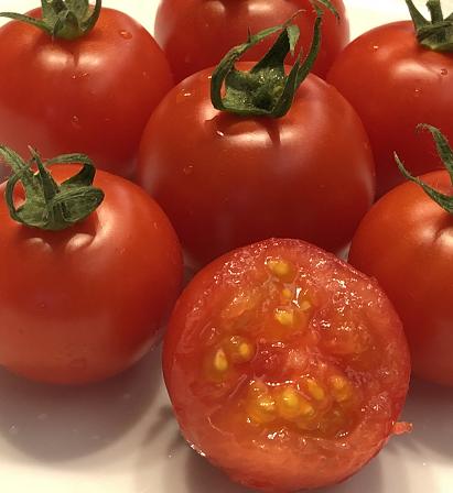 日本中玉品种温室有机番茄  |  自然成熟采摘，一颗颗均匀剔透的红，精巧可爱的扁圆，皮极其薄，用水洗洗就会裂开，吃起来绵绵糯糯的，果汁很浓很足！ 商品图7