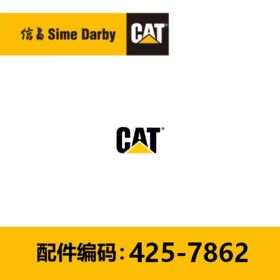 空气软管(4257862)