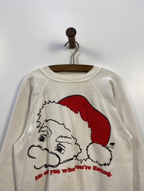 90年代 Vintage Hanes 美国制 卫衣 _SLSS(M)