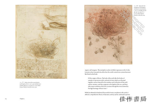 Watermarks: Leonardo da Vinci and the Mastery of Nature / 水印：达芬奇与对自然的掌握 商品图3