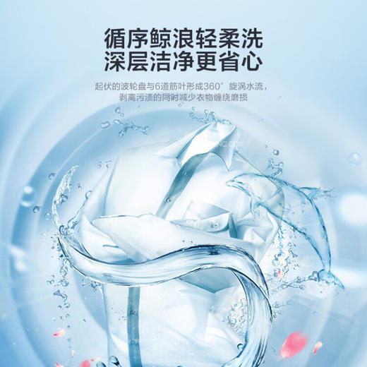小天鹅（LittleSwan）波轮洗衣机全自动 10公斤大容量 升级鲸浪柔洗 免清洗不脏桶 除螨 以旧换新TB100V23H 商品图6