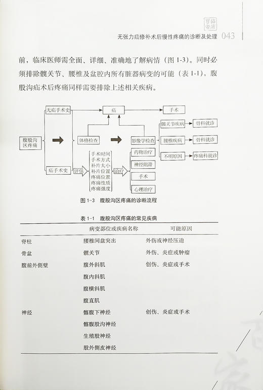 疝与腹壁外科焦点和热点唐健雄2023观点 中国医学临床百家丛书 腹腔疾病外科学 唐健雄 李绍杰 科学技术文献出版社9787518976140 商品图4