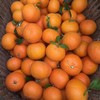 有机沃柑|云南顺丰直发 商品缩略图2
