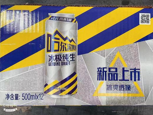 高罐哈尔滨冰极500ml*12 商品图0