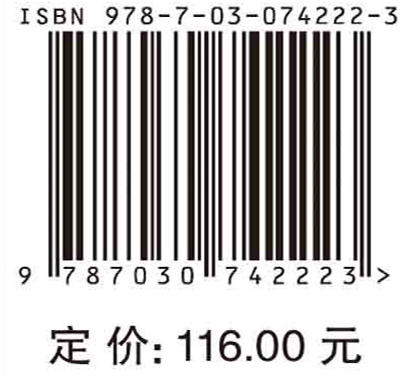 新能源大功率高压直流并网变换器/陈武等 商品图2