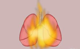  春天最怕“火烧肺”！赶快学起来，灭掉身体里的致病火 