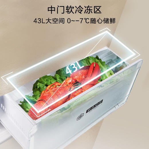 美的(Midea)三门冰箱小型家用电冰箱风冷无霜节能低音BCD-215WTM(E) 215WTM 商品图5