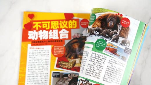 环球少年地理  典藏版 2022 商品图9