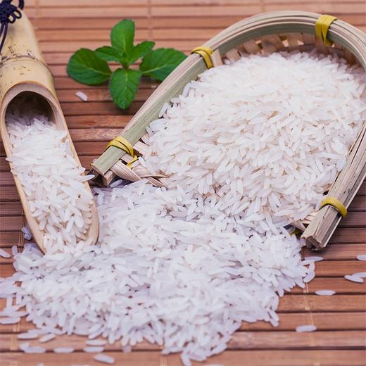 【吉顺号食品】大米新米云南西双版纳傣族茉莉香米长粒大米杂粮5斤煲仔饭 商品图3