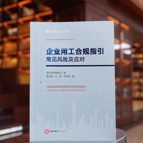 企业用工合规指引：常见风险及应对  盈科律师事务所编 黄兴国 王昱 付洪哲著