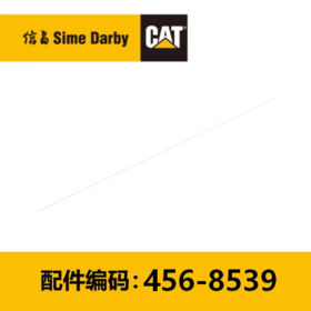 散装软管(4568539)