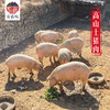 原衢味高山土猪肉 商品缩略图1