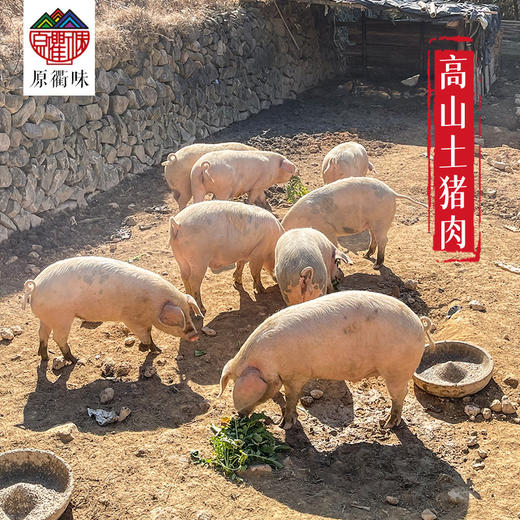 原衢味高山土猪肉 商品图1