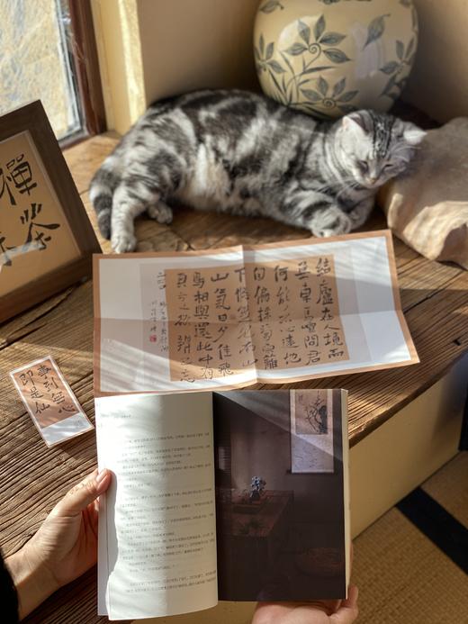 【当代人的生活美学】《雪小禅三部曲》（3册套装），讲日常平凡美好的小事过得活色生香有滋有味。 商品图8