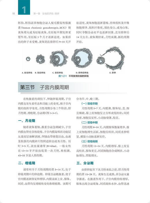 不孕症 乔杰主编 生殖内分泌理论基础 不孕症评估诊断治疗方法 生殖医学临床工作者教科书工具书 人民卫生出版社9787117340892 商品图3