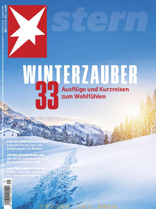 Der Stern - 2022.12.29 商品图0