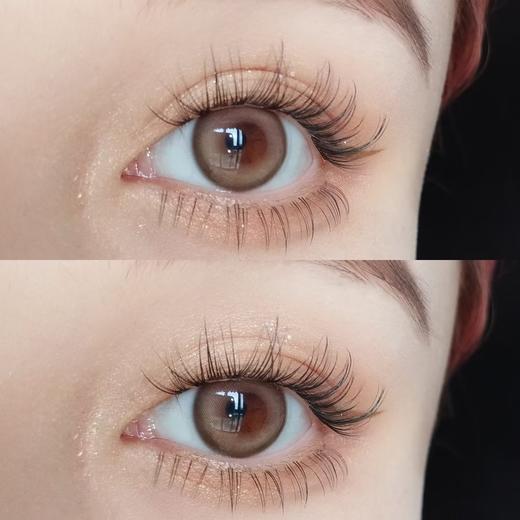 Kaylens日抛新品-暖咖浅棕10p/盒 商品图8