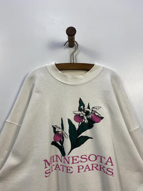 90年代 Vintage FRUIT OF THE LOOM 水果牌 美国制 卫衣 _SLSS(2XL)