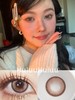 【大直径】PAPADOX-绯闻女孩-14.5mm【半年抛 0-800度 无525/575】着色14.0mm 商品缩略图0