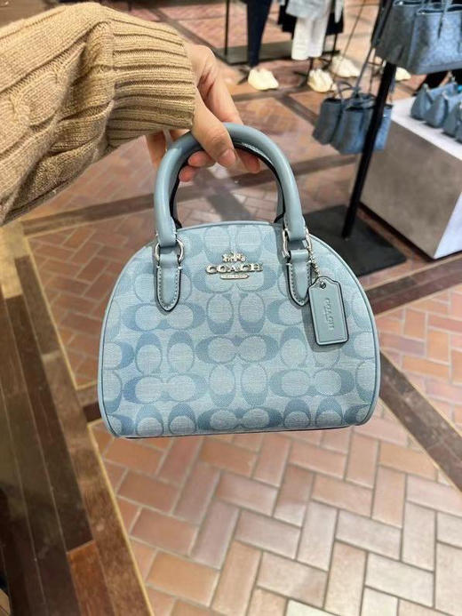 降价了！只要🇺🇸1180直邮！Coach新款Sydney 香布雷馒头包 商品图6