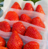 青岛佳垦草莓|日本种植方式的顶尖草莓♥️日本权威专家岩男吉昭全程指导呵护，全程按照日本佳特式草莓种植技术标准，日式水肥管理，蜜蜂授粉，果形均匀，全程无任何激素、头茬新果（草莓不可邮寄！！！） 商品缩略图6