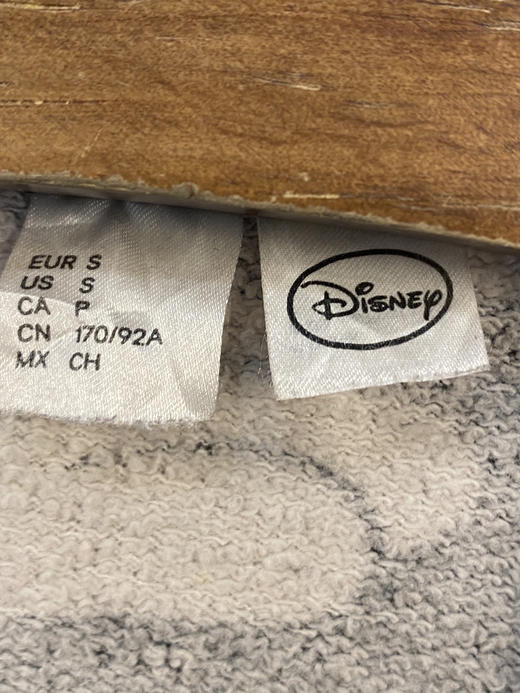 Y2K Vintage Disney 迪士尼 卫衣 _SLSS(S) 商品图2