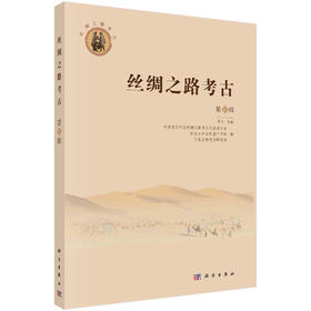 丝绸之路考古·第6辑/罗丰