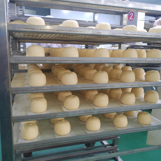 槐花/蒲公英/荠菜团子 | 精选优质原料制作野菜包子 清甜香糯 细腻无杂质 快手早餐必备 一口吃掉整个春天 商品图1