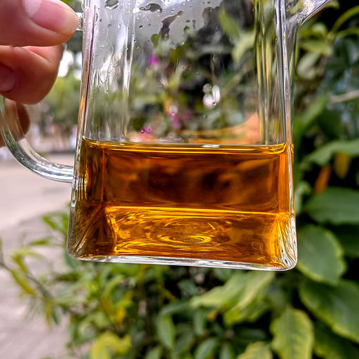 11月12日中午12点【第九届勐（国际）茶王赛金奖老生茶】2013年头春古树原料；勐海茶业协会制茶委员会主任古寨春制茶顾问：桑戈主任性情给咱家老茶友分享获奖好茶；数量稀珍；357g/饼 商品图4