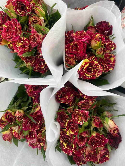 【市场多头】流星雨 10支/扎  约50公分 商品图11