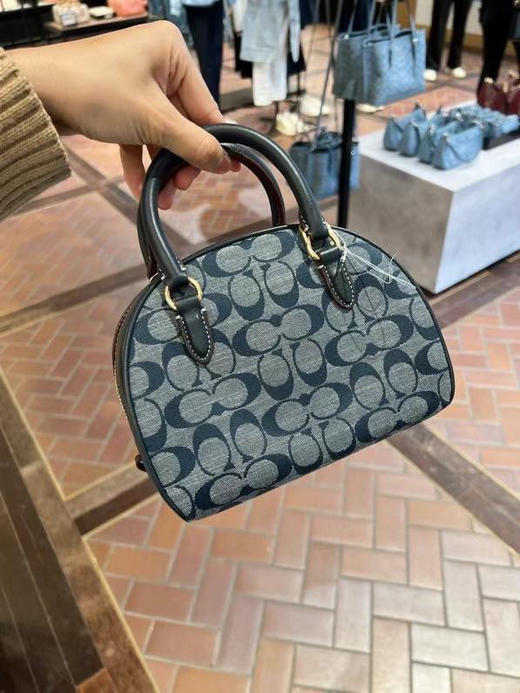 降价了！只要🇺🇸1180直邮！Coach新款Sydney 香布雷馒头包 商品图2