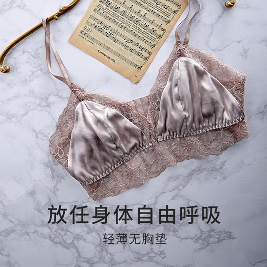 金三塔双面桑蚕丝无钢圈内衣女春夏性感超薄款丝杯文胸法式内衣  7NZF6B306 商品图1
