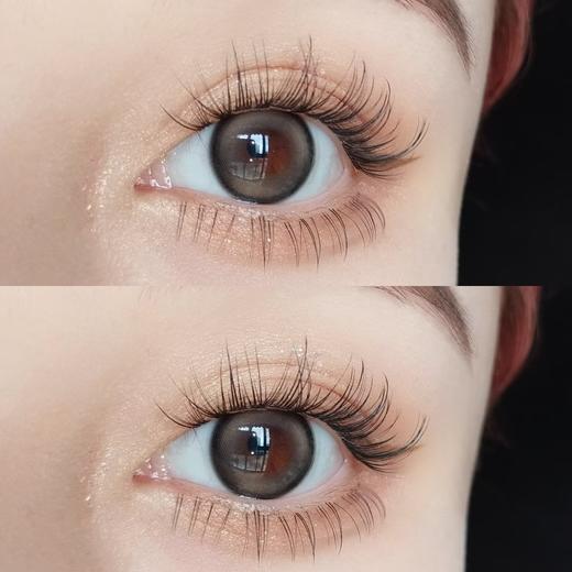 Kaylens日抛新品-暖咖黑灰10p/盒 商品图6