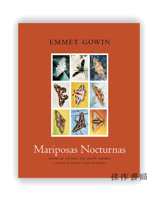 Mariposas Nocturnas: Moths of Central and South America、A Study in Beauty and Diversity / 蝴蝶晚会：中美洲和南 商品图0